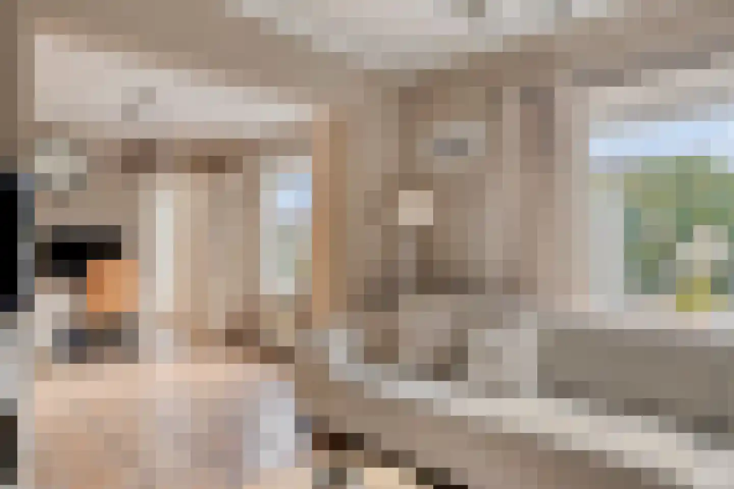 Magdalenastraat 24 Heikant thumbnail 9