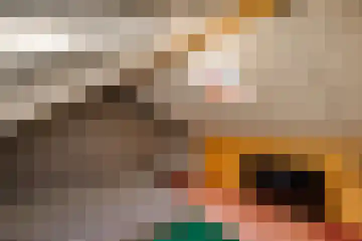 Magdalenastraat 30 Weert thumbnail 14