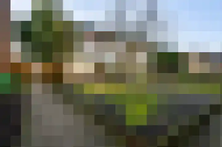 Magdalenastraat 30 Weert thumbnail 23