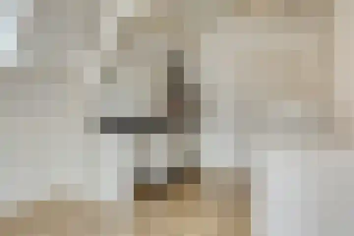 Magdalenastraat 5 C Goes thumbnail 10