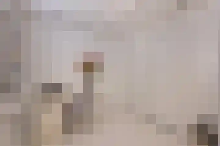 Magdalenastraat 8 Haarlem thumbnail 12