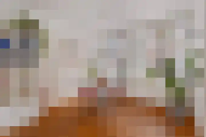 Magdalenastraat 8 Haarlem thumbnail 18