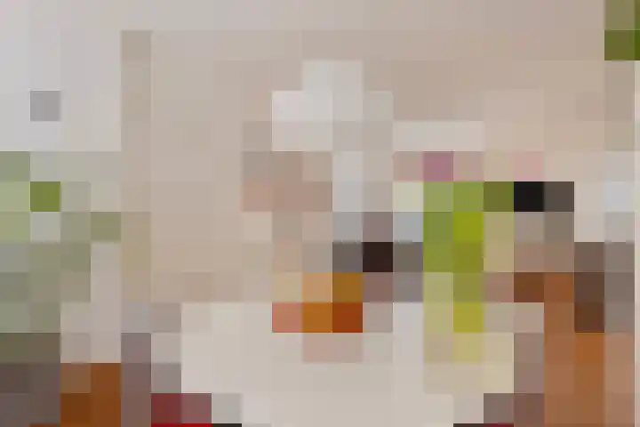 Magdalenastraat 8 Haarlem thumbnail 19
