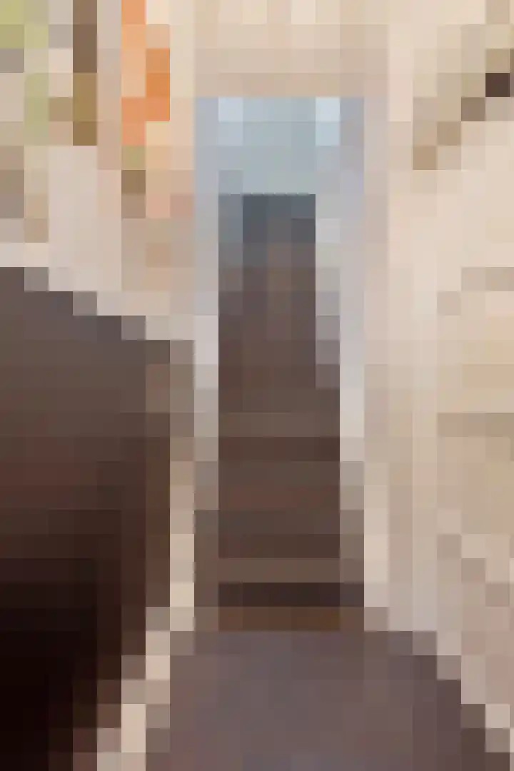 Magdalenastraat 8 Haarlem thumbnail 20