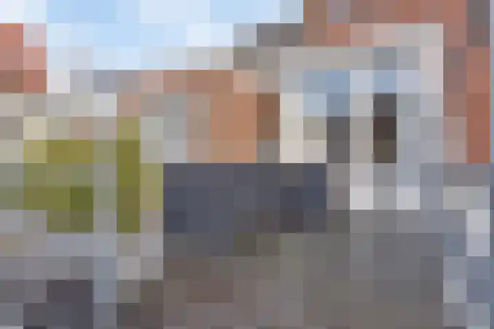 Magdalenastraat 8 Haarlem thumbnail 28