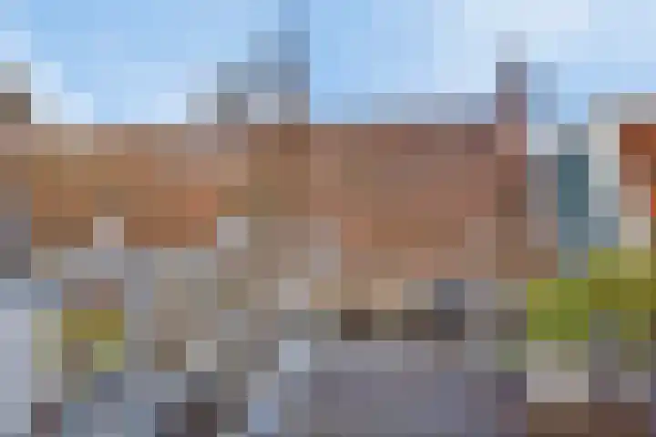 Magdalenastraat 8 Haarlem thumbnail 29