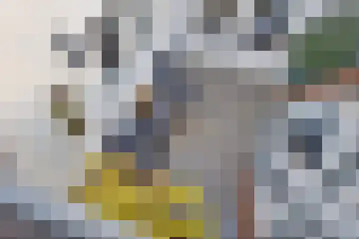 Magdalenastraat 8 Haarlem thumbnail 31