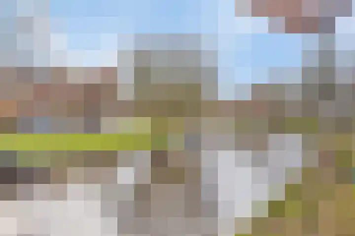 Magdalenastraat 8 Haarlem thumbnail 33