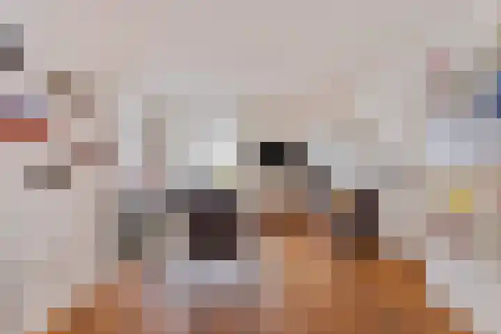 Magdalenastraat 8 Haarlem thumbnail 7