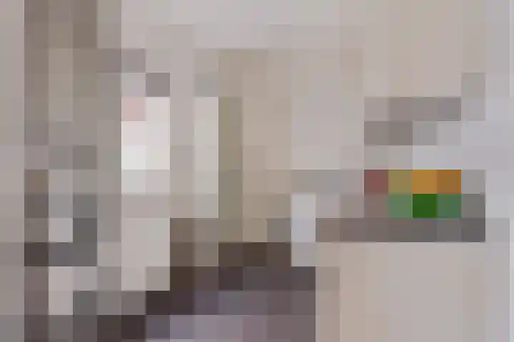 Magdalenastraat 8 Haarlem thumbnail 9