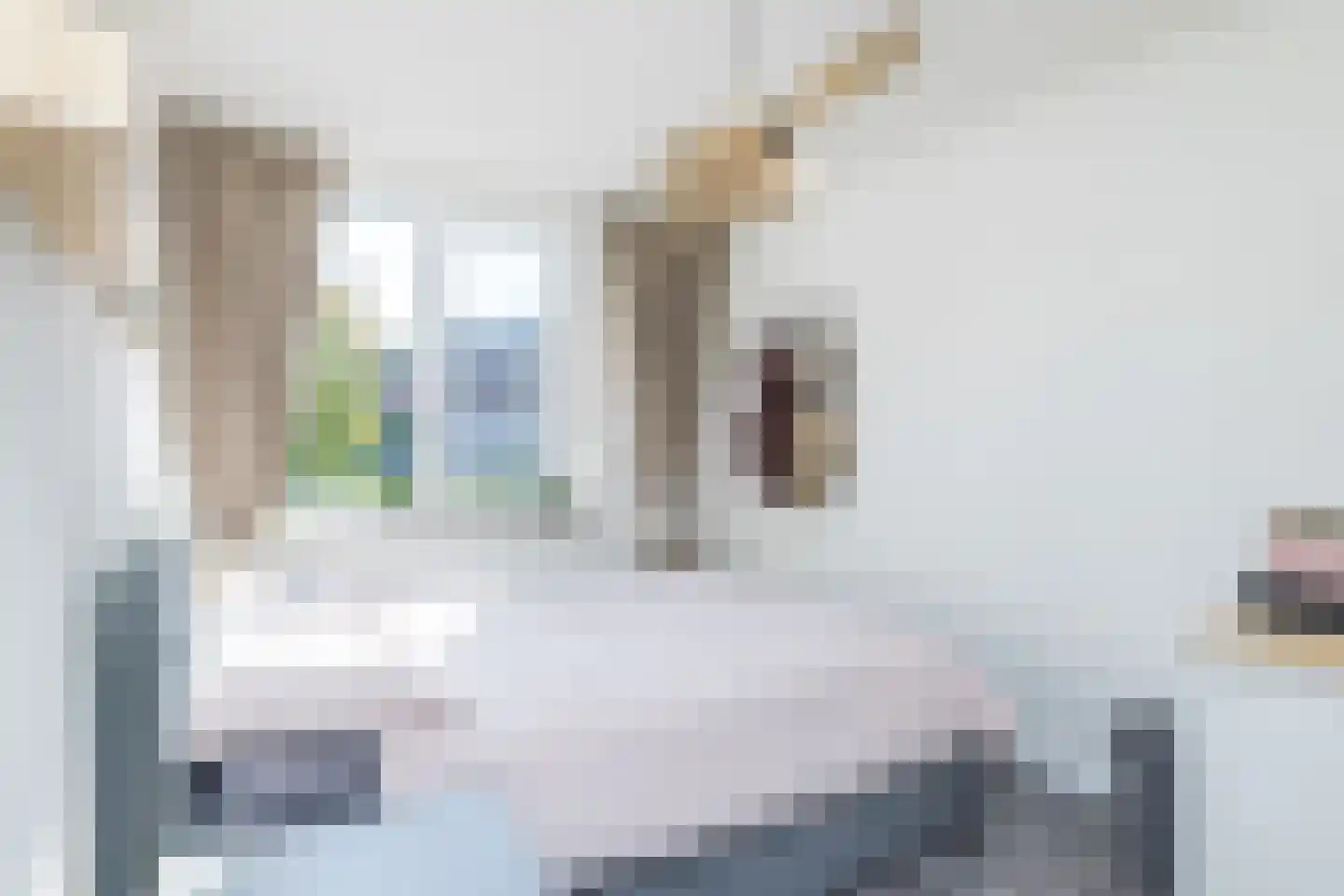 Magdalenastraat 8 Heerlen thumbnail 20