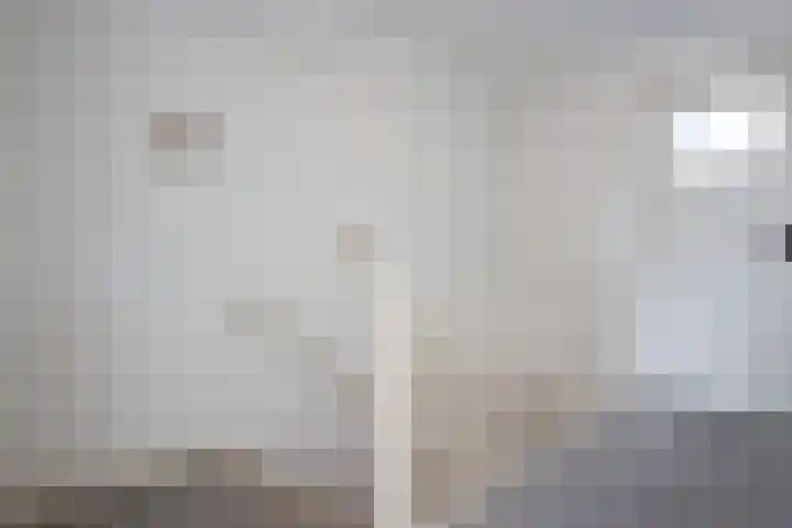 Magdalenastraat 9 Heythuysen thumbnail 10