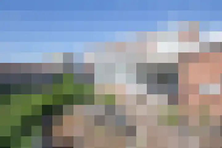 Magdalenastraat 9 Heythuysen thumbnail 21