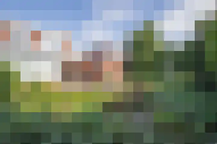Magdalenastraat 9 Heythuysen thumbnail 22