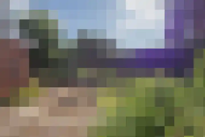 Magdalenastraat 9 Heythuysen thumbnail 24