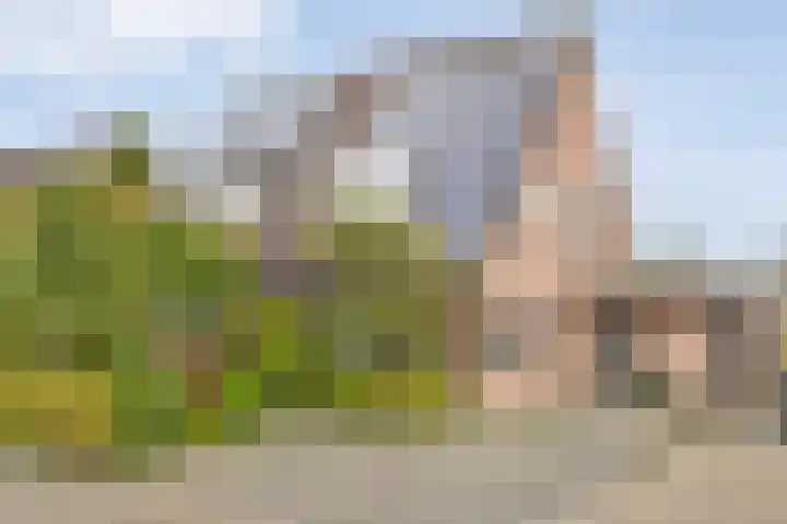 Magelerweg 4 Den Ham