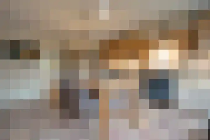 Magelerweg 4 Den Ham thumbnail 17