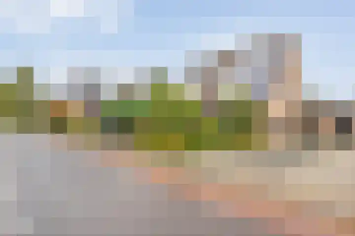 Magelerweg 4 Den Ham foto 2