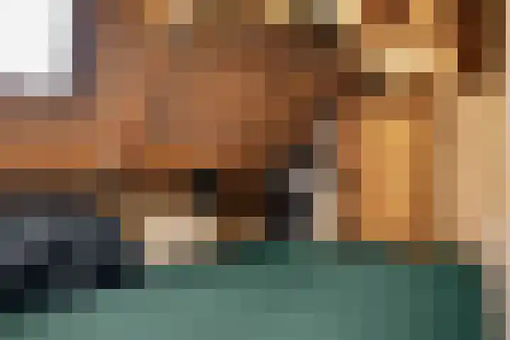 Magelerweg 4 Den Ham thumbnail 35