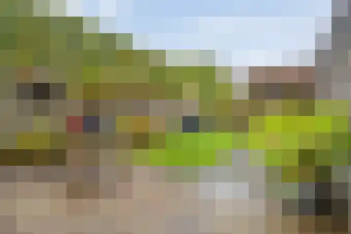 Magelerweg 4 Den Ham thumbnail 36