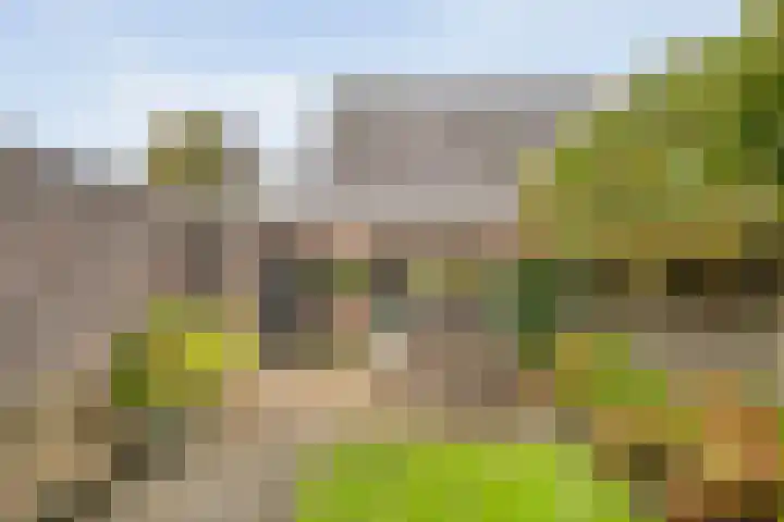 Magelerweg 4 Den Ham thumbnail 38
