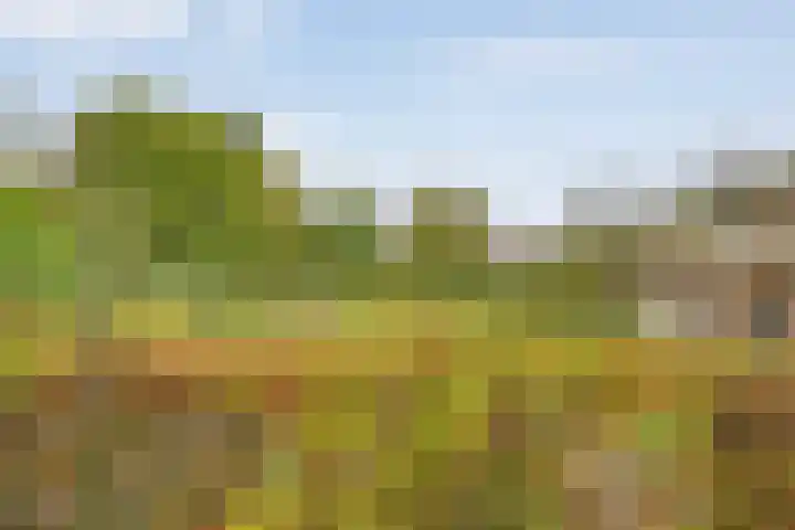 Magelerweg 4 Den Ham thumbnail 39