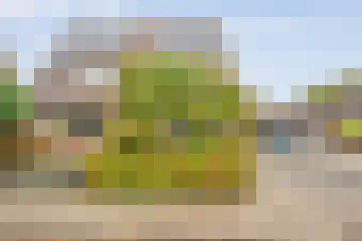 Magelerweg 4 Den Ham thumbnail 4