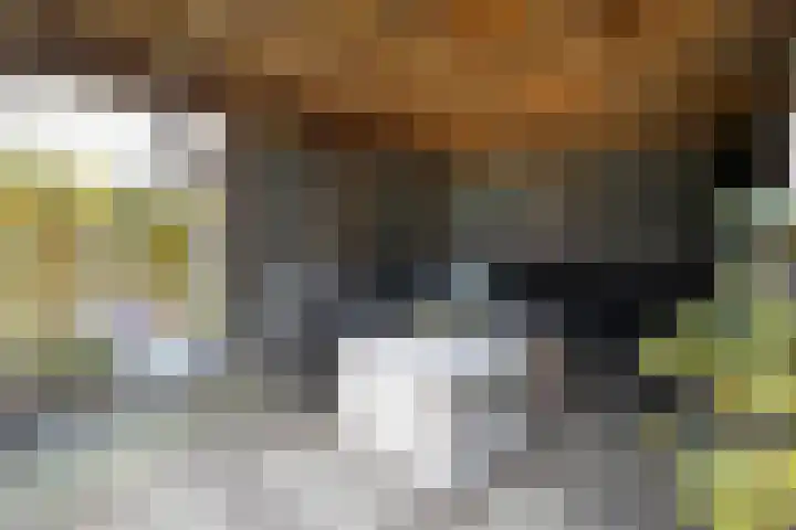 Magelerweg 4 Den Ham thumbnail 40