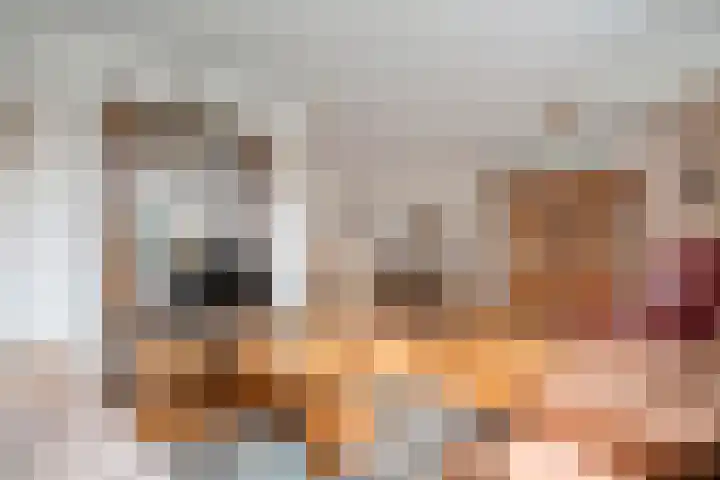 Magelerweg 46 Den Ham thumbnail 10