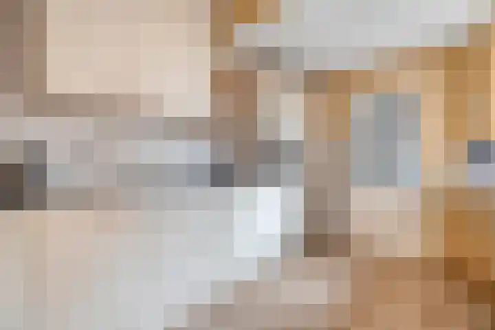 Magelerweg 46 Den Ham thumbnail 14