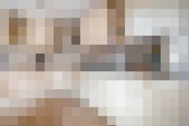 Magelerweg 46 Den Ham thumbnail 16
