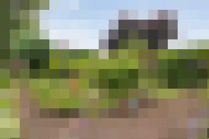 Magelerweg 46 Den Ham thumbnail 38
