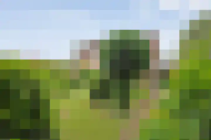 Magelerweg 46 Den Ham thumbnail 41