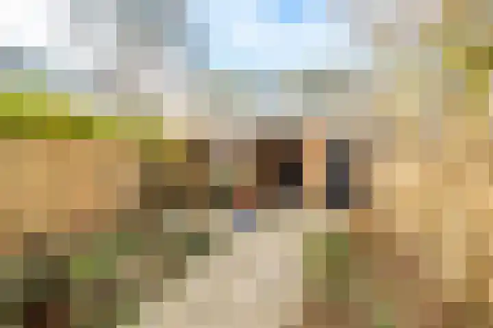 Magelhaenlaan 127 Utrecht thumbnail 21
