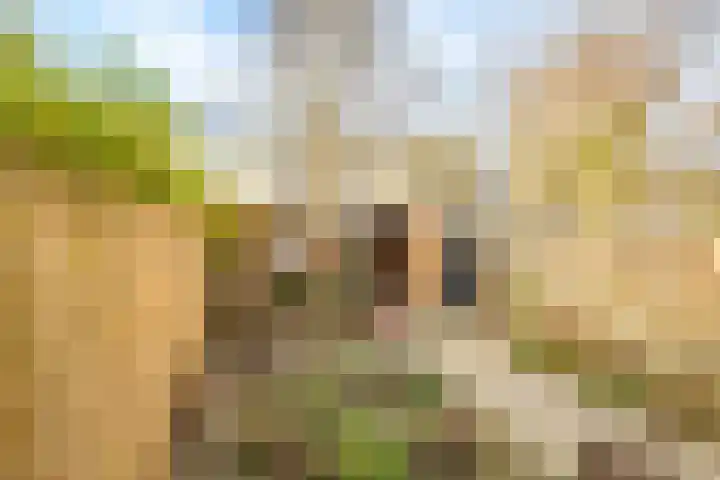 Magelhaenlaan 127 Utrecht thumbnail 22
