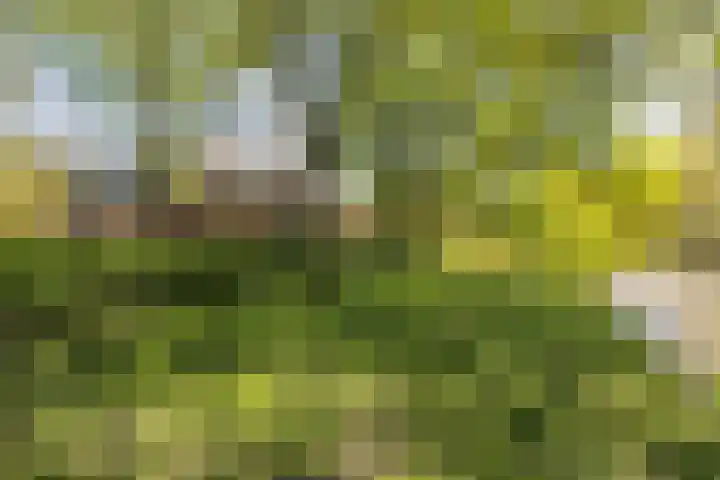 Magelhaenlaan 127 Utrecht thumbnail 44