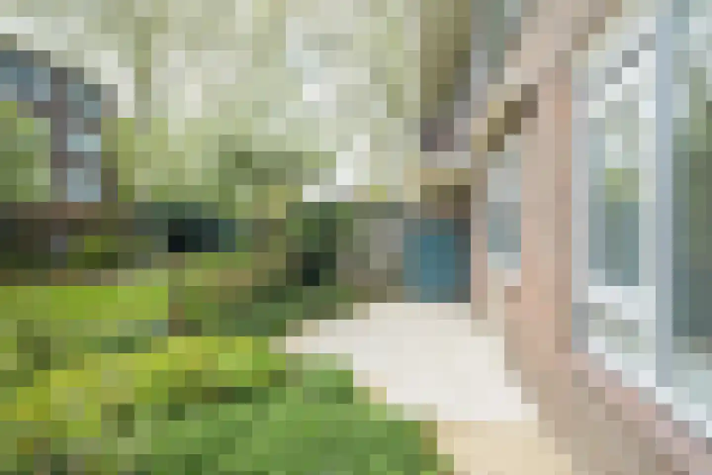 Magelhaensstraat 5 Breda thumbnail 21