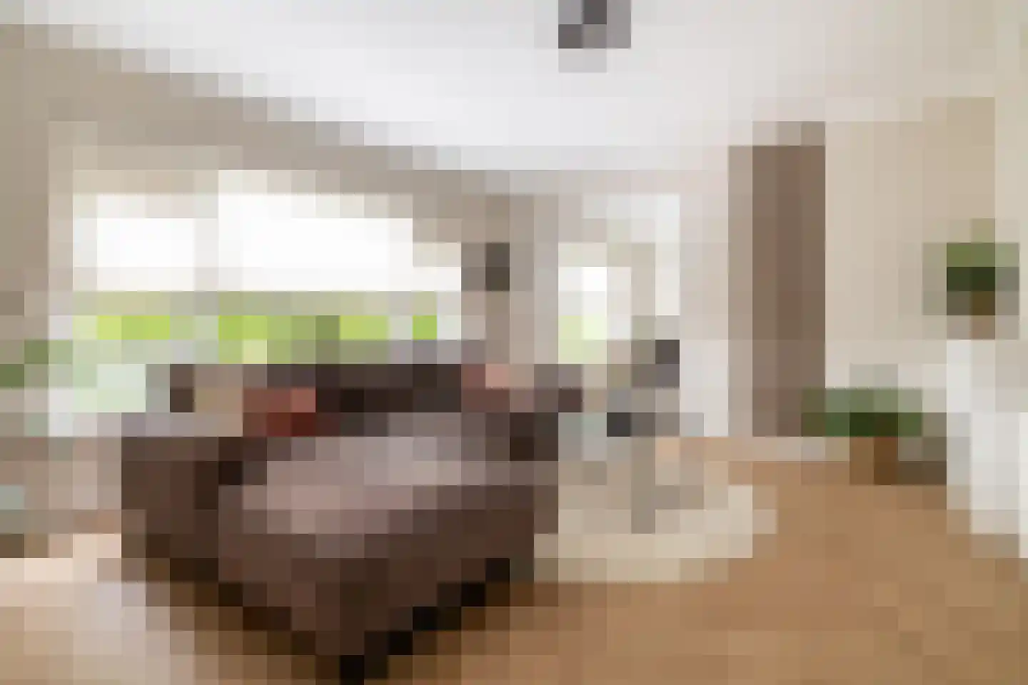 Magelhaensstraat 5 C Breda thumbnail 13