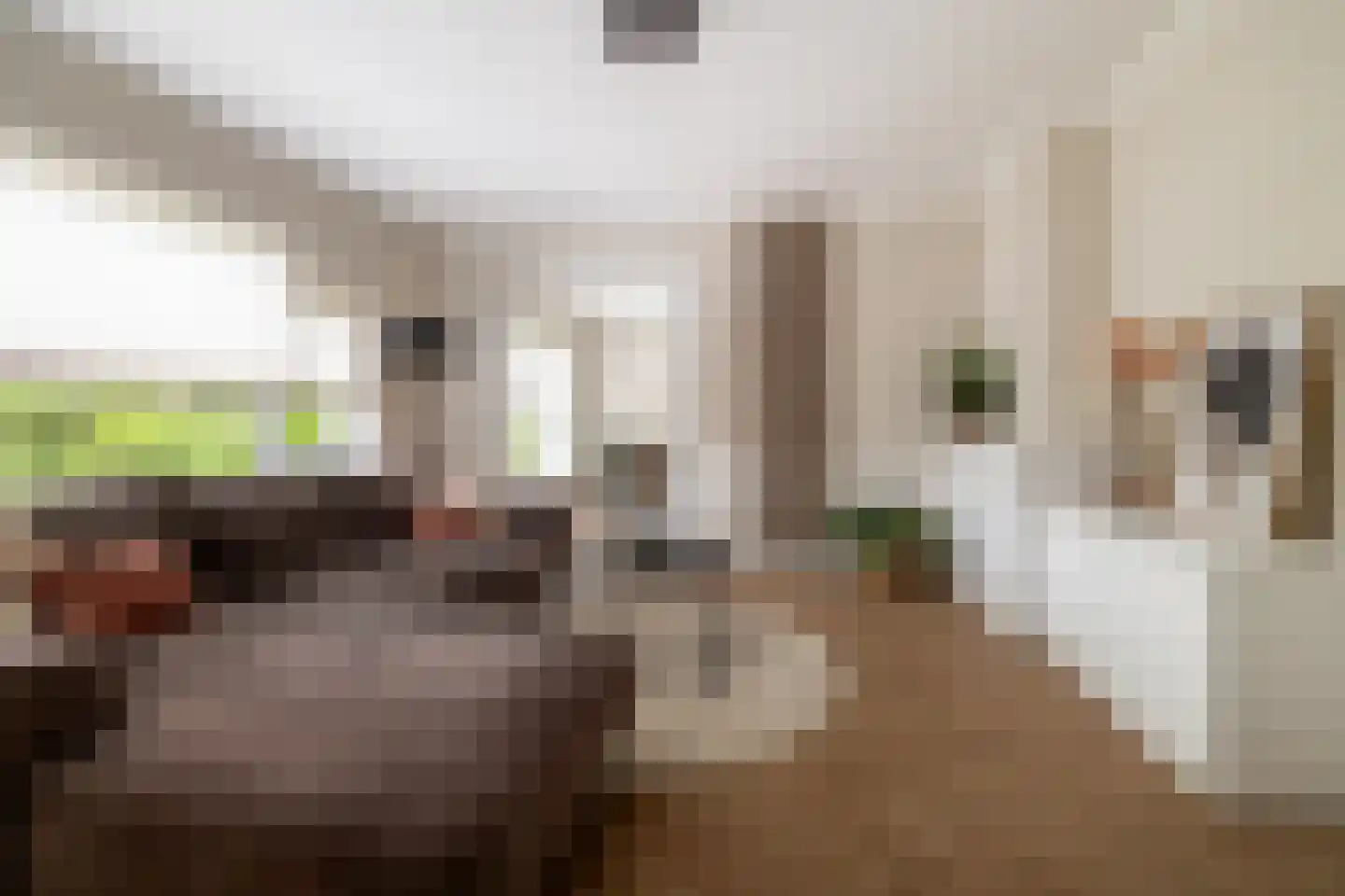 Magelhaensstraat 5 C Breda thumbnail 15