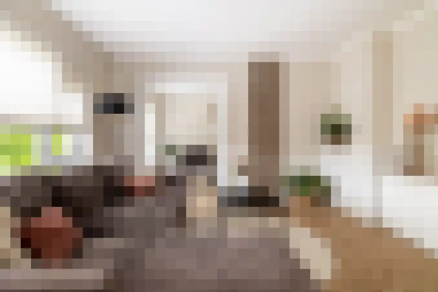 Magelhaensstraat 5 C Breda thumbnail 16