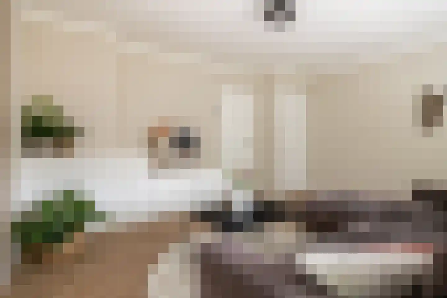 Magelhaensstraat 5 C Breda thumbnail 17