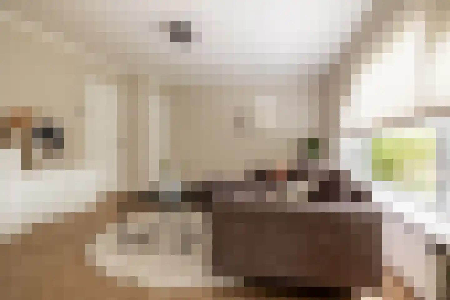 Magelhaensstraat 5 C Breda thumbnail 18
