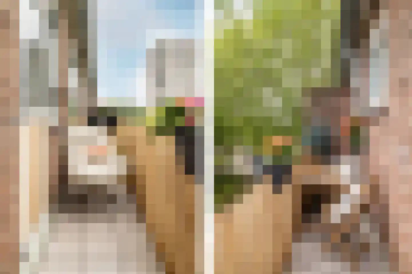 Magelhaensstraat 5 C Breda thumbnail 26