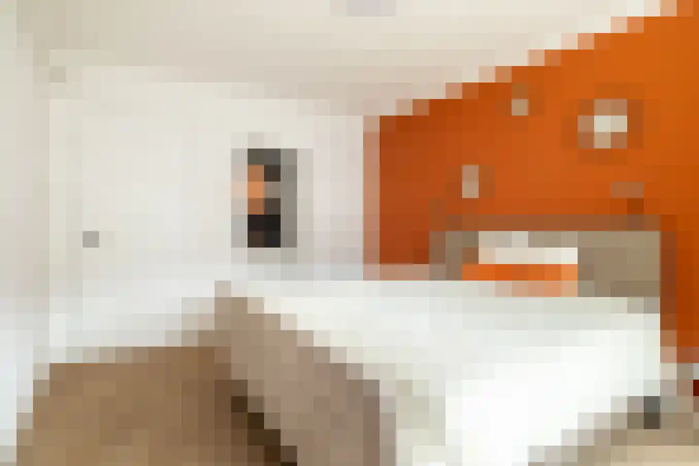 Magelhaensstraat 5 C Breda thumbnail 30