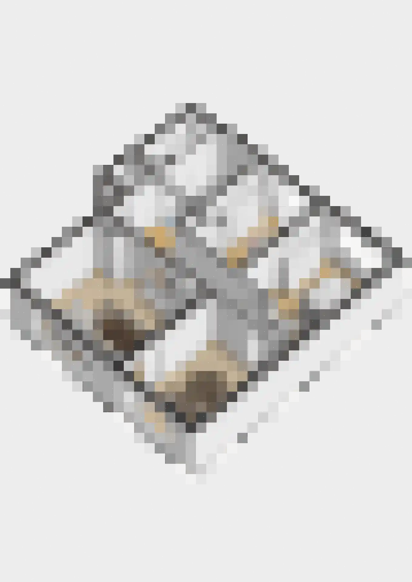 Magelhaensstraat 7 B Breda thumbnail 34