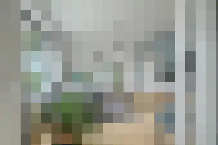 Magelhaensstraat 7 Breda thumbnail 18