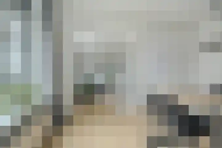 Magelhaensstraat 7 Breda thumbnail 23