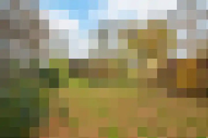 Magelhaensstraat 7 Breda thumbnail 31