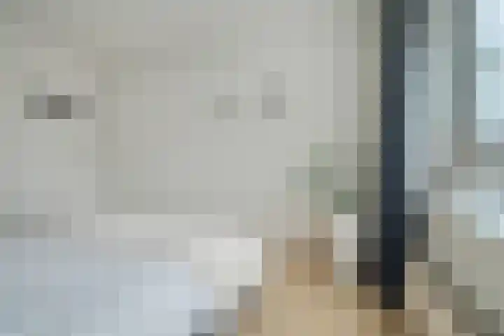 Magelhaensstraat 7 Breda thumbnail 35