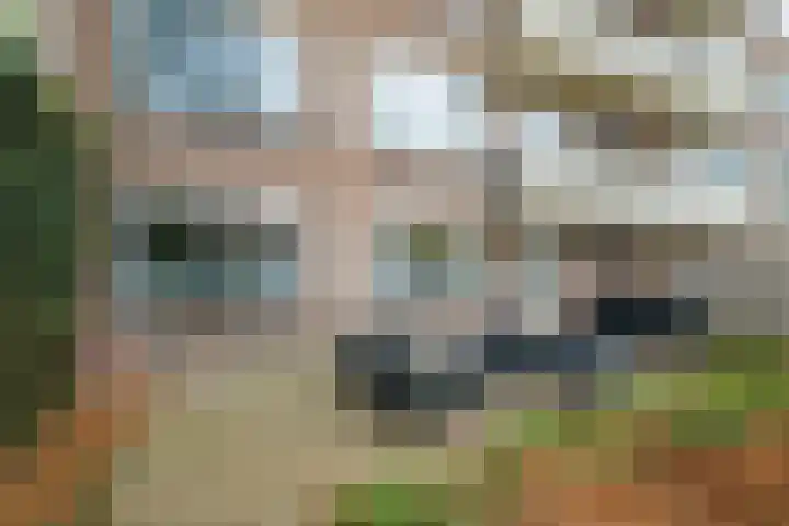 Magelhaensstraat 7 Breda thumbnail 5